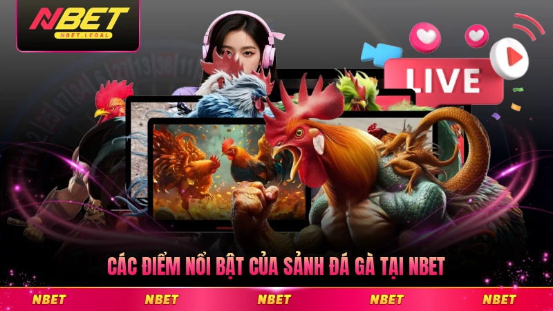 Các điểm nổi bật của sảnh đá gà tại NBET mới nhất 2025
