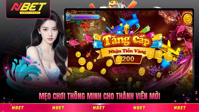 Mẹo chơi thông minh cho thành viên mới dễ áp dụng